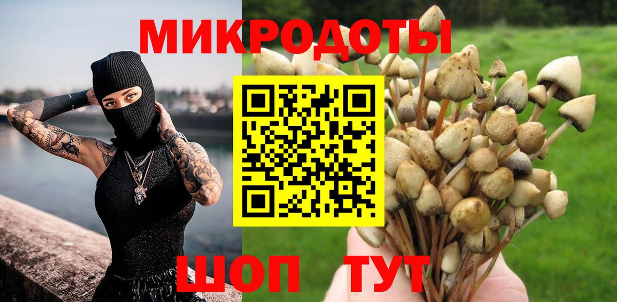 Ачхой-Мартан  наркота  Вход с VPN  Псилоцибиновые грибы Psilocybine cubensis 