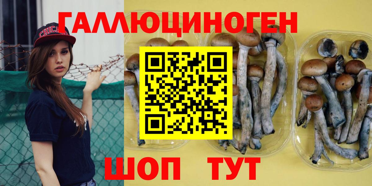 Псилоцибиновые грибы GOLDEN TEACHER Ачхой-Мартан